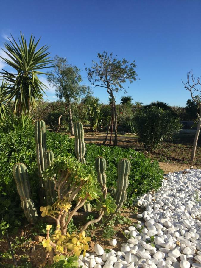 Finca Du Ressourcement Higueron Apartamento Vejer de la Frontera Exterior foto