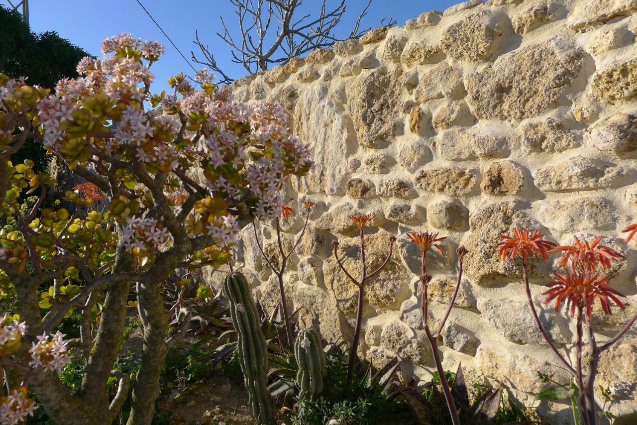 Finca Du Ressourcement Higueron Apartamento Vejer de la Frontera Exterior foto