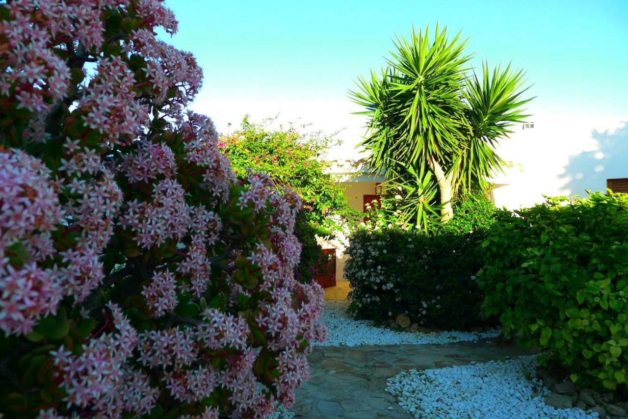 Finca Du Ressourcement Higueron Apartamento Vejer de la Frontera Exterior foto