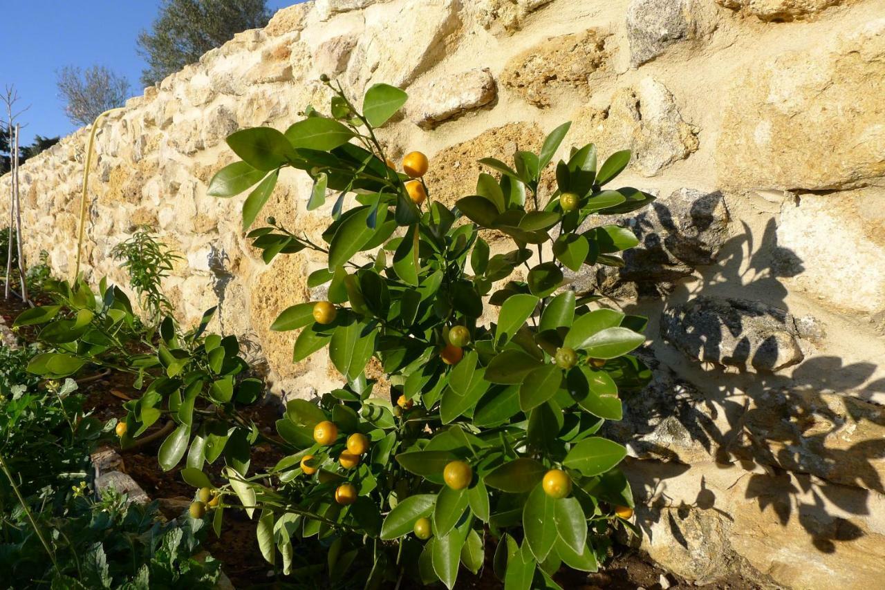 Finca Du Ressourcement Higueron Apartamento Vejer de la Frontera Exterior foto