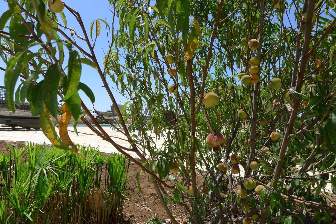 Finca Du Ressourcement Higueron Apartamento Vejer de la Frontera Exterior foto